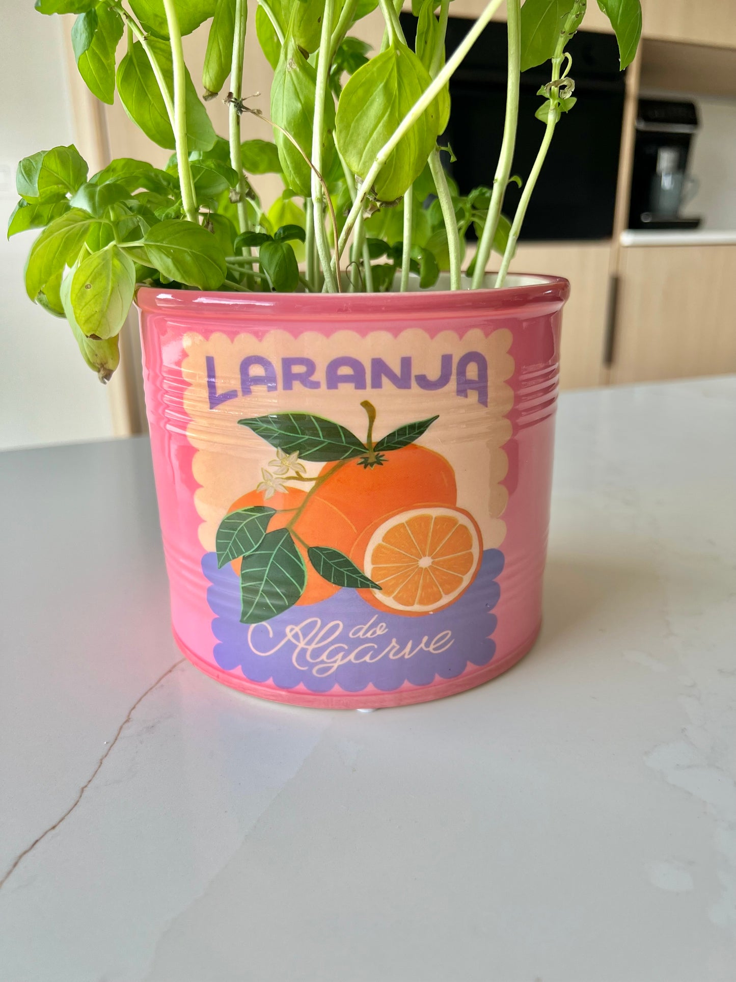 Kruidenpot/ bloempot - fruit