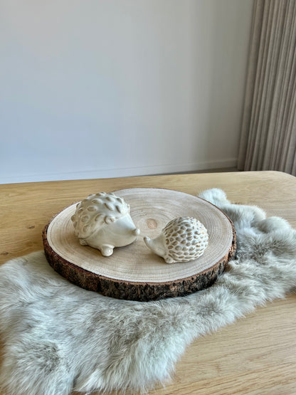 Decoratie - Set egeltjes