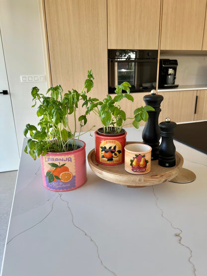 Kruidenpot/ bloempot - fruit