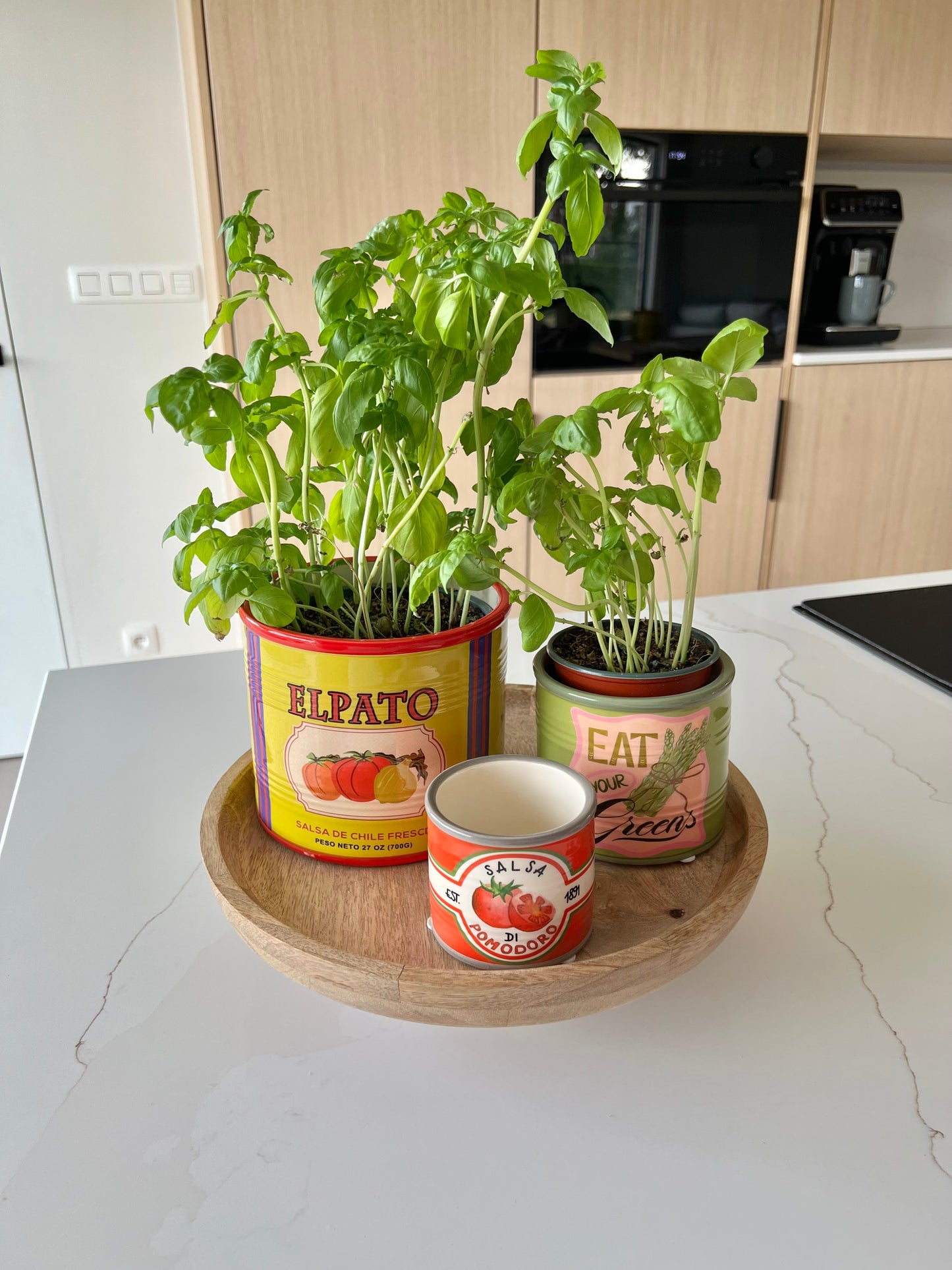 Plantenpot / bloempot - Groenten