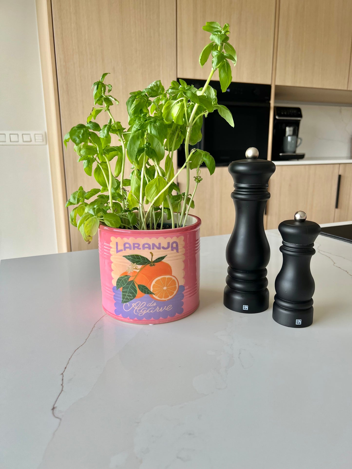 Kruidenpot/ bloempot - fruit