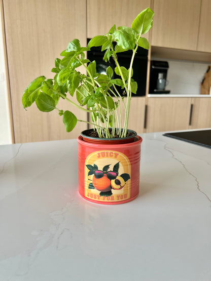 Kruidenpot/ bloempot - fruit