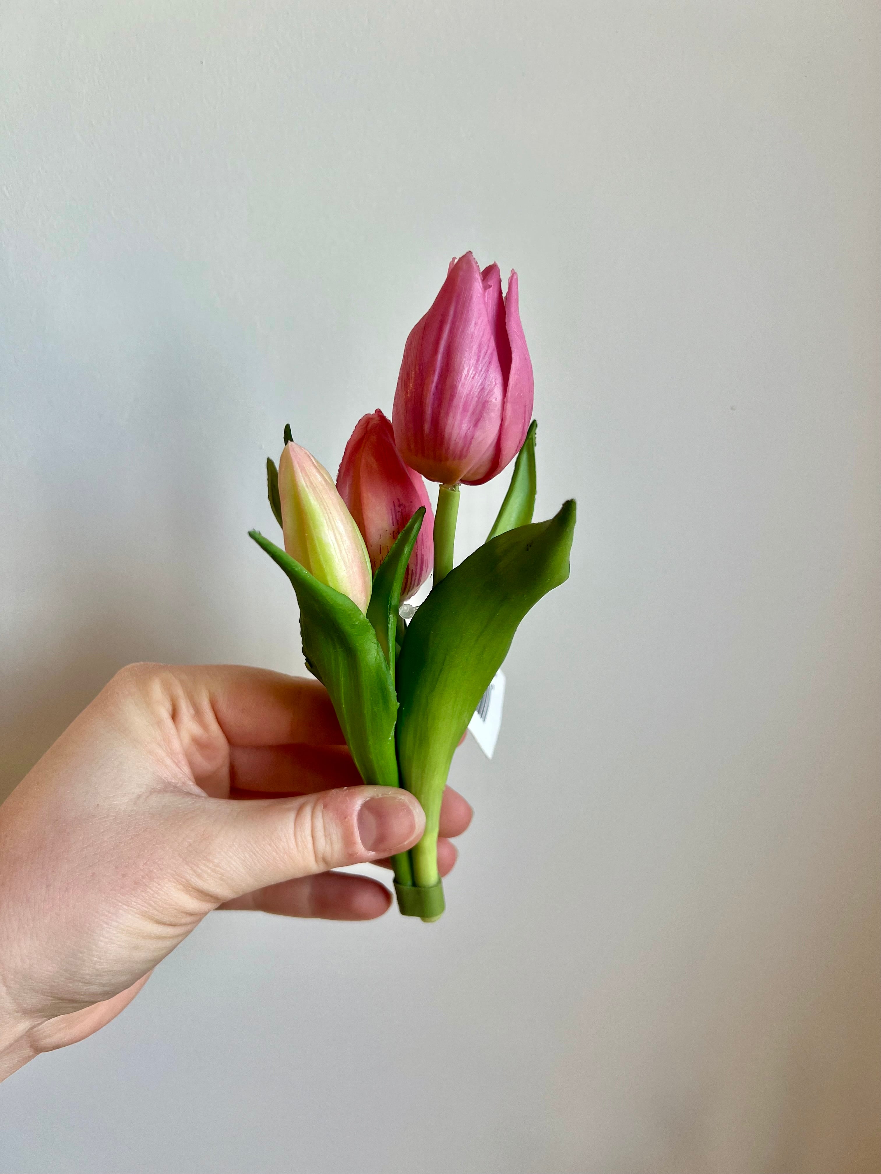 Mini boeket tulpen - extra kort