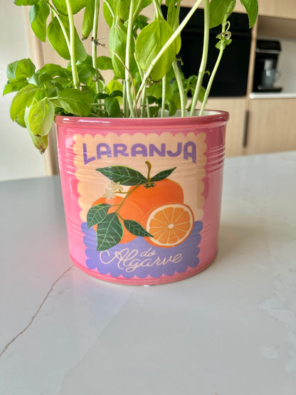 Kruidenpot/ bloempot - fruit