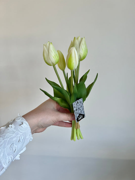 Mini boeket tulpen (5) - Wit