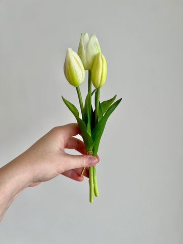 Mini boeket tulpen - Wit