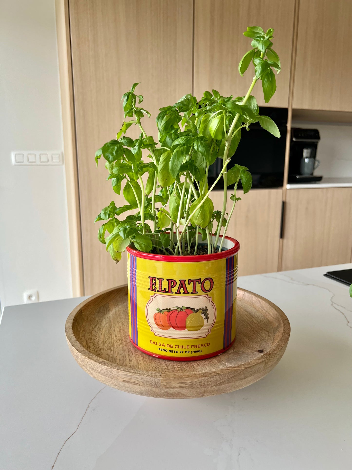 Plantenpot / bloempot - Groenten