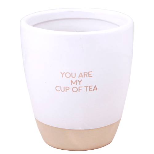 Sojakaars in theekop - YOU ARE MY CUP OF TEA - HERBAL INFUSION